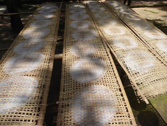 Kenn ich doch: Reispapier für Frühlingsrollen, frisch gemacht, zum Trocknen ausgelegt