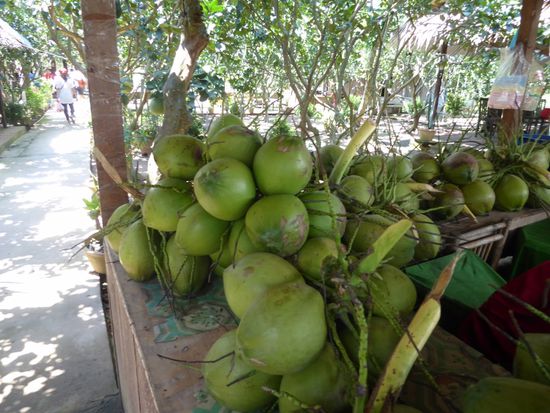 Wer will, kann eine frische Kokosnuss zum Mittagessen geniessen