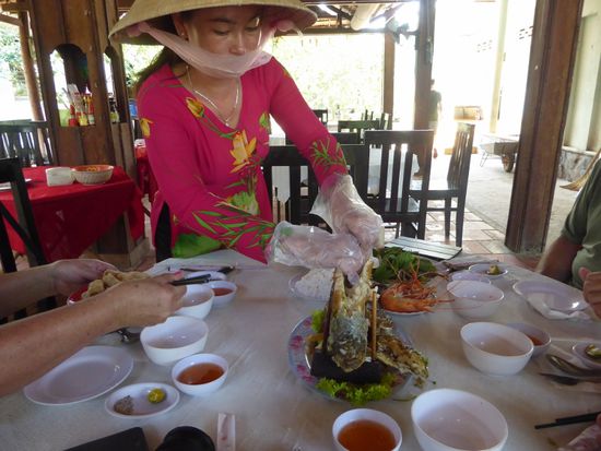 Sie zeigt, wie die Frühlingsrollen gemacht werden