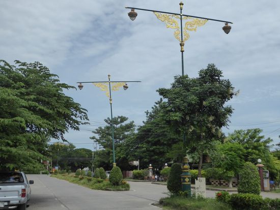 sehr spezielle Strassenlaternen an meiner Strasse