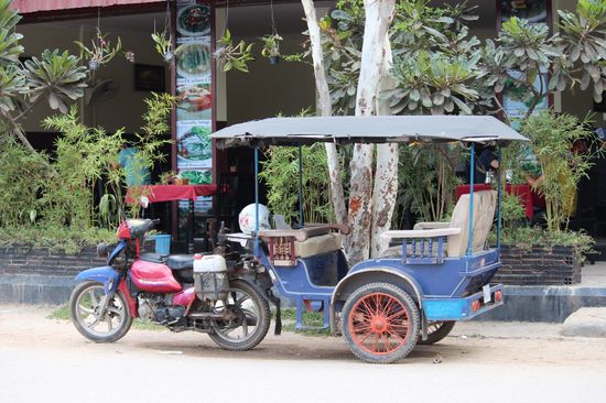 mein vornehmes heutiges TucTuc