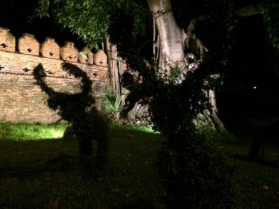 unheimliche Gestalten in der Nacht