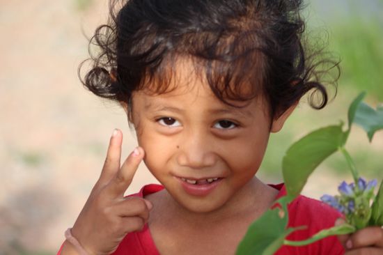 sie haben es alle drauf, das Posieren.