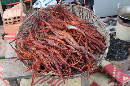 Das wäre das Menu im Restaurant der Lotusfarm gewesen: Schlangen
ich habe verzichtet.