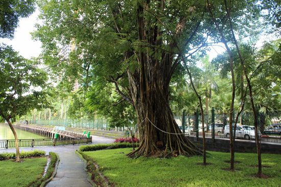 Schöne Anlagen am See zum Spazieren, wenn es nicht gerade regnet.