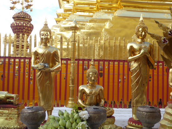 Mittwoch-Abend - Donnerstag - Freitag