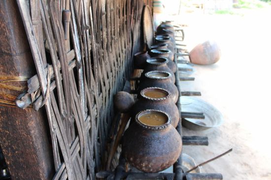 Fermentation