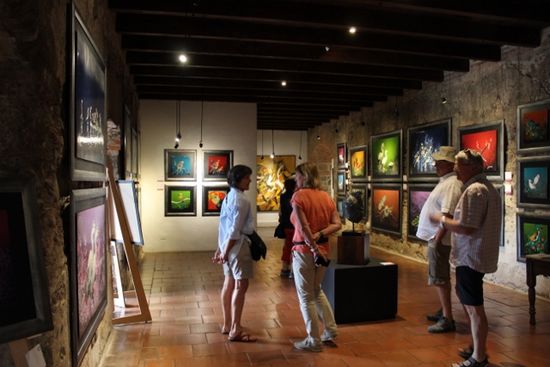 Bilderausstellung Thema 'Vögel' im Casa Santodomingo