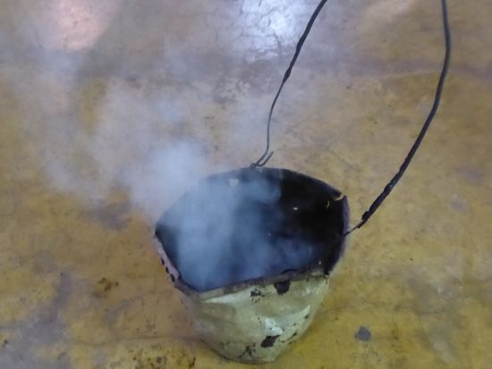 natürlicher Mückenschutz