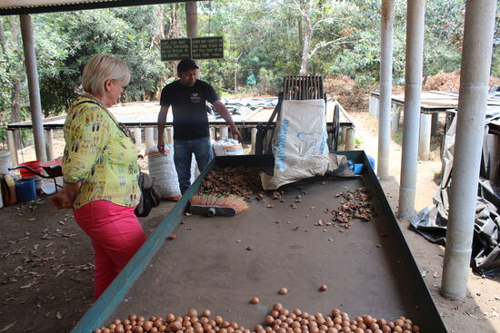 Mc Guiver. aus einem alten Pneu und verschiedenen Eisenteilen.