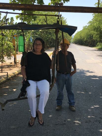 Mit etwas mehr Zeit hätte ich mitten in die Bananenplantage mitfahren dürfen...
