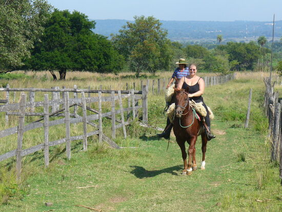 2008 - die erste Begegnung mit Stella - 
nachzulesen im meinem Reisebericht: "Timeout in Südamerika"