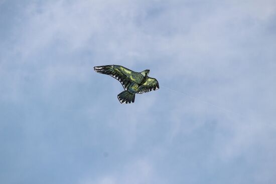kleine Mädchen lassen Vögel fliegen