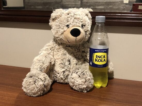 Felipe hat sich kulinarisch bereits angepasst. Er findet Inca Kola sweet und exotisch