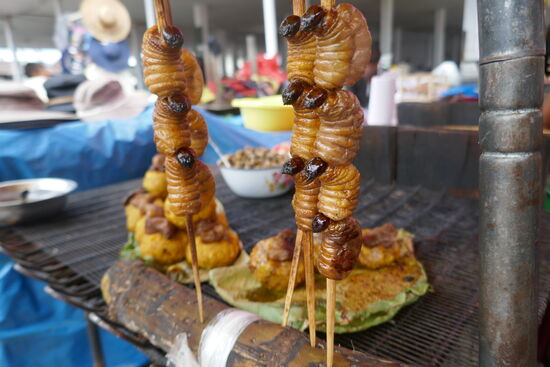 Suri, frische Maden, eine Delikatesse aus dem Dschungel