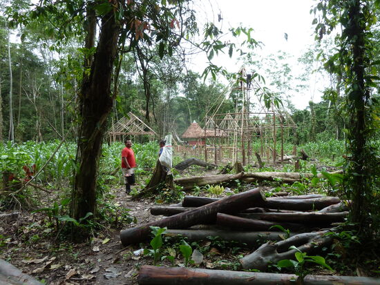 2013 Neustart und Neubau
