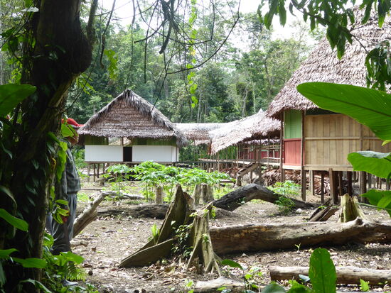 2014 Fuente del Amazonas II