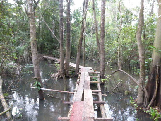 2014 abenteuerlicher Zugang über Brücken und Stege