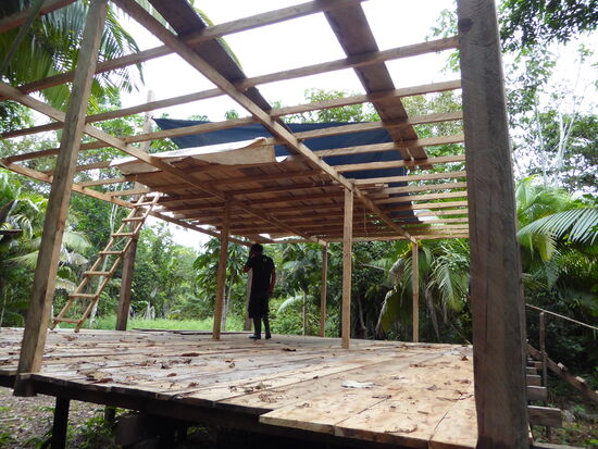 2016 Neubau am neuen Ort