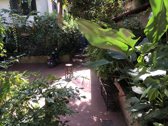 Der Blick aus meinem Zimmer.