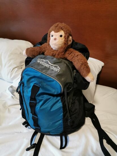 Immer dabei: Mono in Evelines Rucksack...