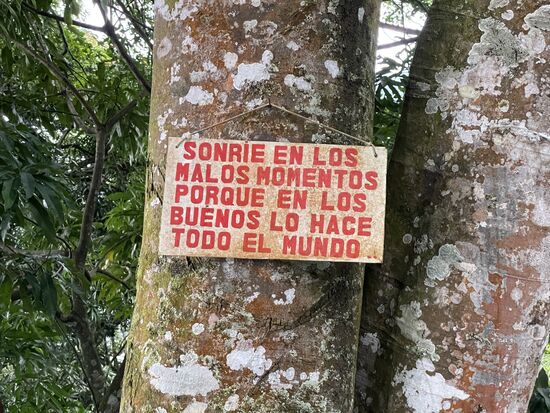 Lächle in den schlechten Momenten, weil in den guten macht es die ganze Welt.