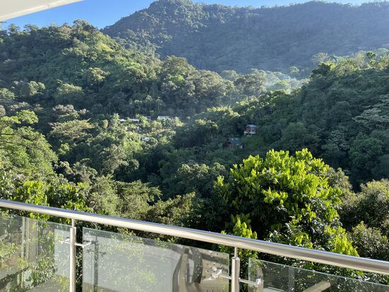 Die Aussicht von meinem Fenster