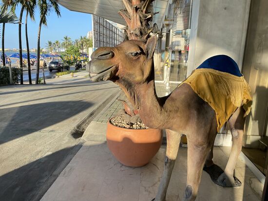 Das Kamel vor dem Hotel soll wohl an Dubai erinnern...
