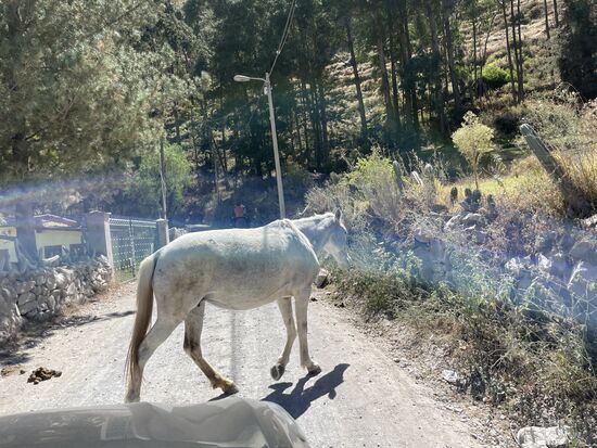 mit Überraschungen muss man immer rechnen