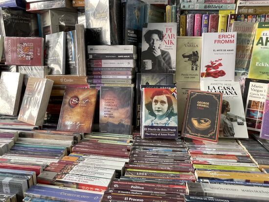 alte Bekannte, sogar Anne Frank hat es bis hierher geschafft, zusammen mit George Orwell