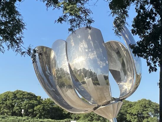 die faszinierende Blume: Floralis generetica