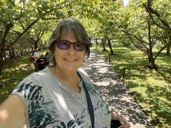 Die Allee der Kirschbäume muss zur Blütezeit wunderbar aussehen.