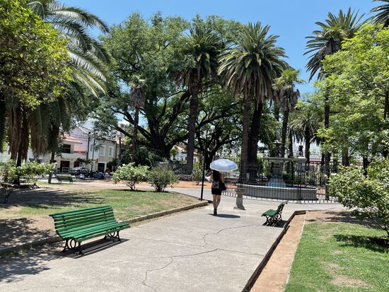 der Hauptplatz mit vielen schattigen Bäumen
