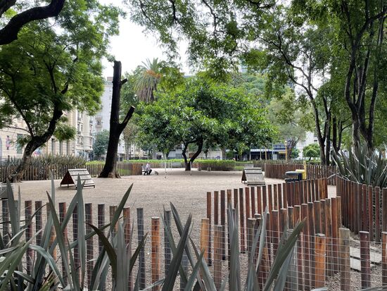 Der Hundetrainingsplatz