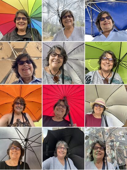 Es ist soweit, der Wind hat gedreht, es geht heimwärts.