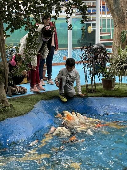 Fische füttern, eine Attraktion nicht nur für Kinder