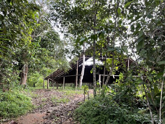 Die 'Regenzeit-Maloka' die dort steht, wo das Wasser des Flusses nicht hinkommt, wenn er während der Regenzeit ein paar Meter steigt.
