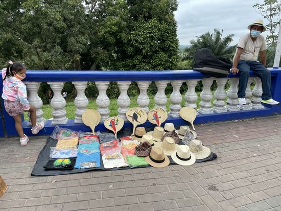 Sonnenhüte oder Fächer gefällig?