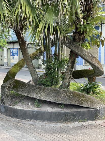 Was für eine eigenartige Baumdekoration aus Beton.