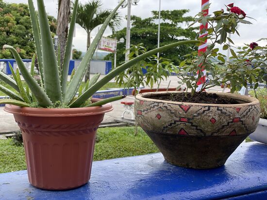 Die Blumentöpfe vor dem Restaurant Meson