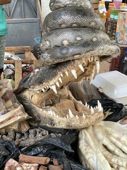 Skuriles Zubehör für Schamanenrituale