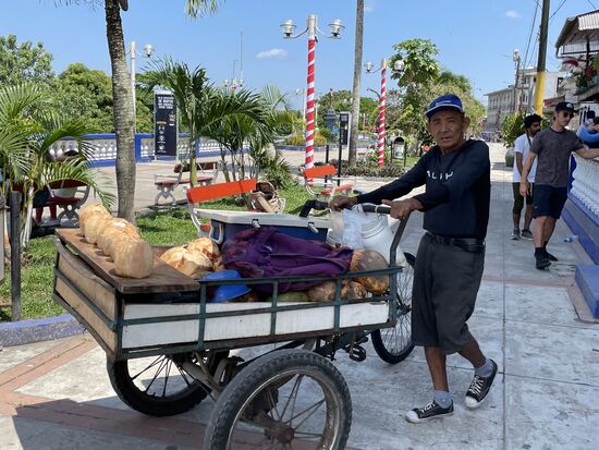 Kokosnuss gefällig?