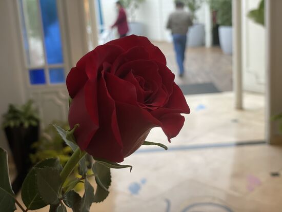 Jede Frau erhält beim Verlassen des Restaurants eine Rose, das war schon immer so.