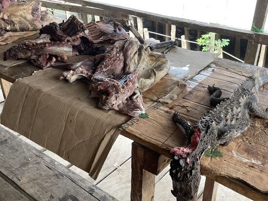 ... und anderes Dschungelfleisch