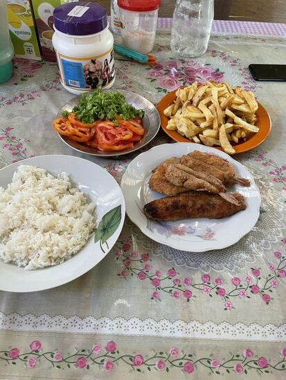 mein MIttag-Abendessen: panierter Fisch mit Reis und frischen Pommes. Dazu Tomatensalat mit Zitrone.