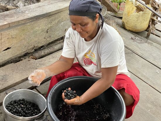 waschen und sortieren