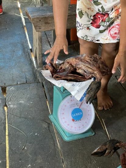 Rosa sichert sich zwei Kilogramm für ihren 'Gordo'