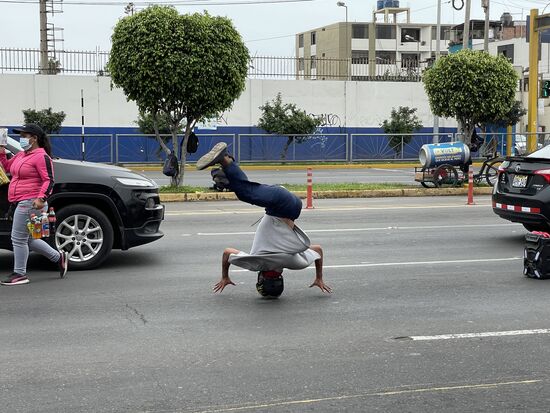 Video dazu auf meiner Bison-Seite