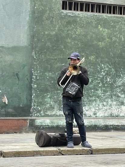 Video dazu auf meiner Bison-Seite