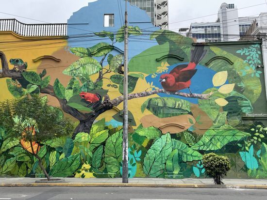 Bilder die sich über die gesamte Fassade ziehen.